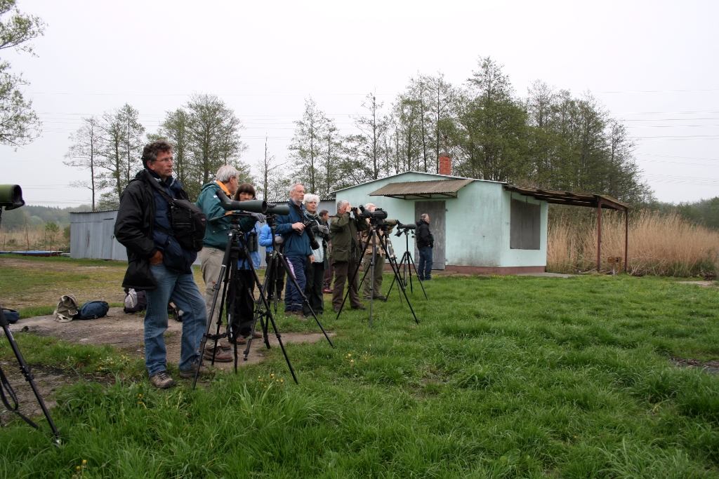 VWG vogelreis Oost Duitsland mei 2010 434